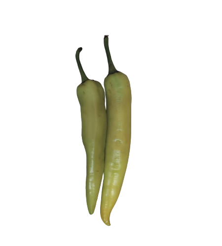 Baji Chilli